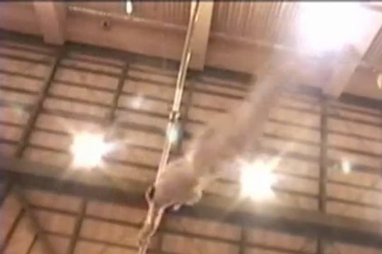 Секция атлетики