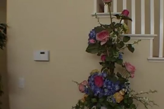 Две милочки и страпон