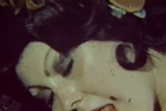 Волосатый член и киска