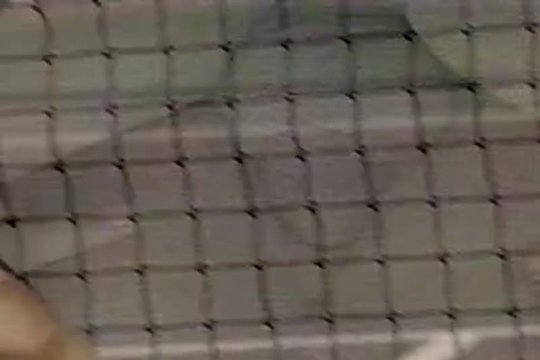Имеет телочку на корте