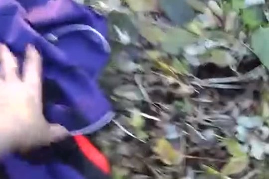 Блондинка заплатила за проезд натурой