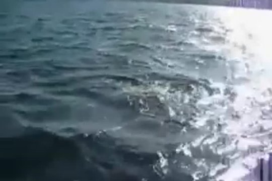 Толстуха на катере